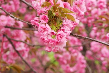 上海徐汇区线下个人借款平台一站式服务，轻松解决资金难题
