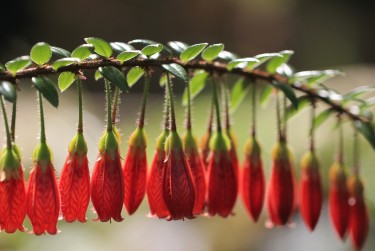 上海徐汇区零用贷短借：轻松解决临时资金需求