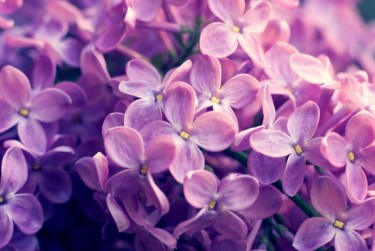 上海徐汇区企业急用钱贷款攻略：快速融资解燃眉之急